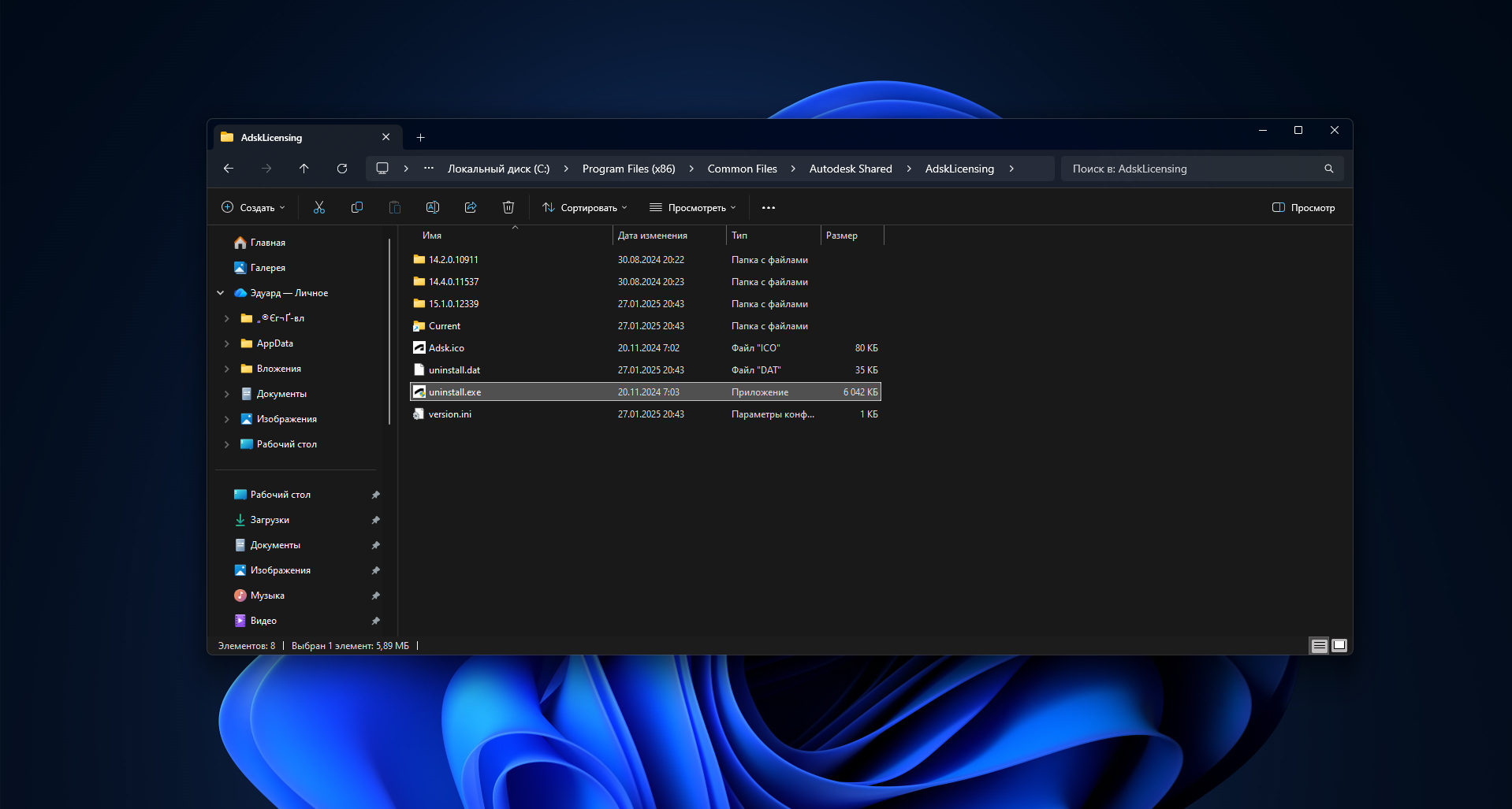 Удаление менеджера лицензий Autodesk