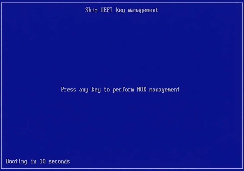 Выбор пункта Enroll key from disk в меню MOK management