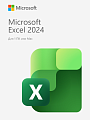 Microsoft Excel 2024 — для Windows и MacOS (с привязкой)