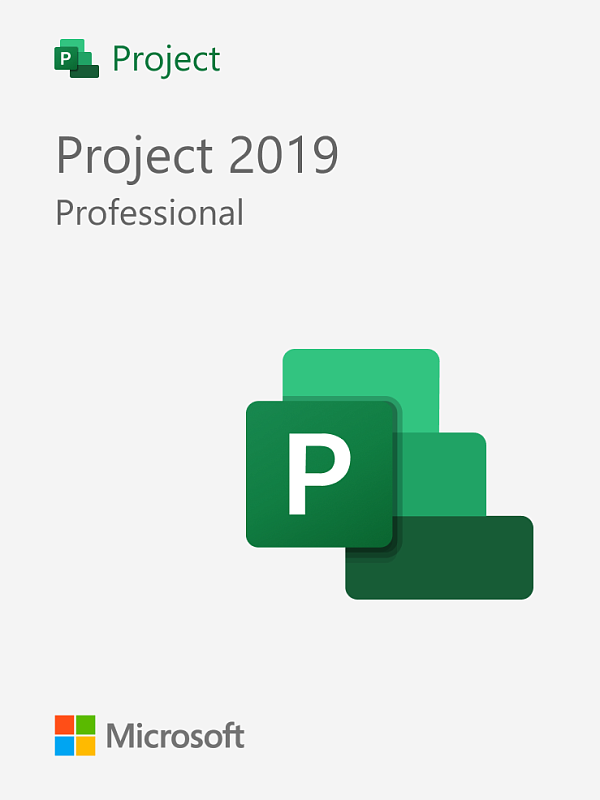 Microsoft Project 2019 Professional