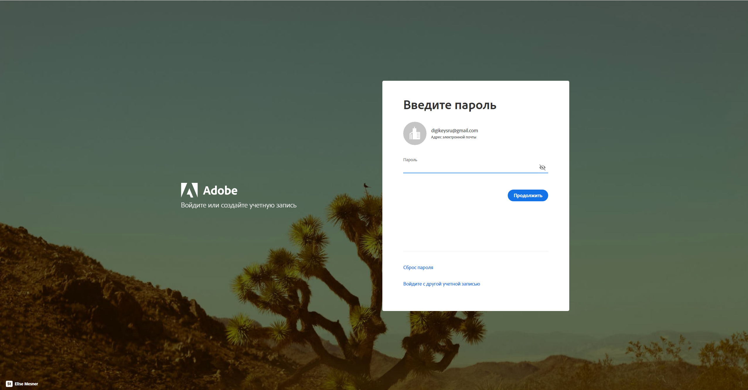 Подключение к команде для использования Creative Cloud