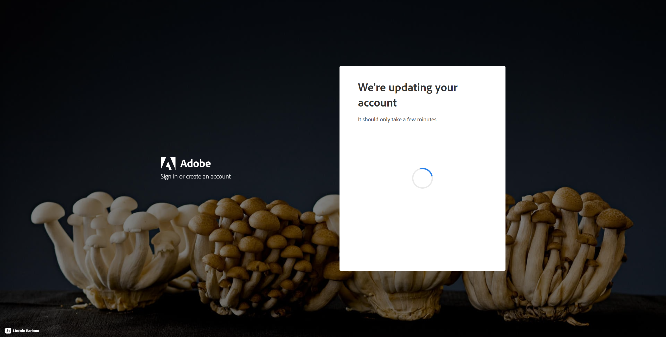 Подключение к команде для использования Creative Cloud