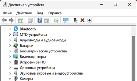 Диспетчер устройств Windows 11 со списком разделов, среди которых «Биометрические устройства» и «Камеры».