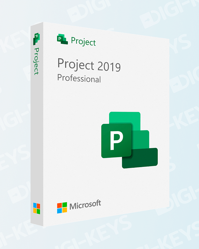 Microsoft Project 2019 Professional