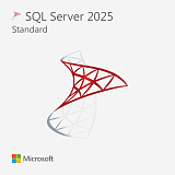 Microsoft SQL Server 2025 Standard — бессрочный ключ