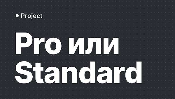 Microsoft Project 2024 Professional или Standard: что выбрать