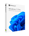 Microsoft Windows 11 Pro