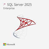 Microsoft SQL Server 2025 Enterprise — бессрочный ключ