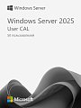 Windows Server 2025 RDS User CAL (50 пользователей)