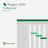 Microsoft Project 2024 Professional — бессрочный ключ с привязкой